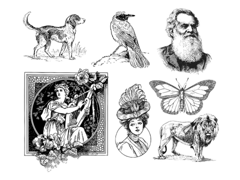 免費(fèi) 2D/3D 激光蝕刻機(jī)的激光雕刻矢量文件